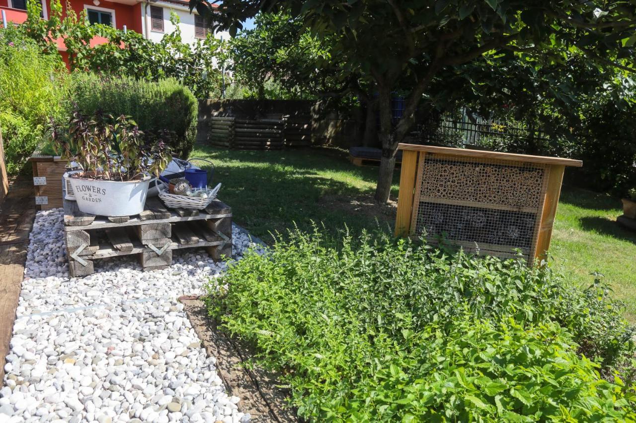 Hotel Healthy House Glamping Capodistria Esterno foto