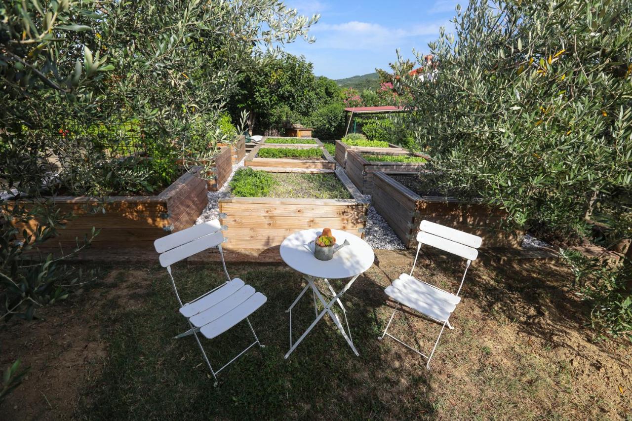 Hotel Healthy House Glamping Capodistria Esterno foto