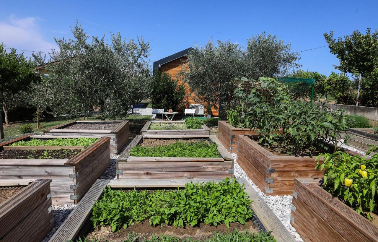 Hotel Healthy House Glamping Capodistria Esterno foto